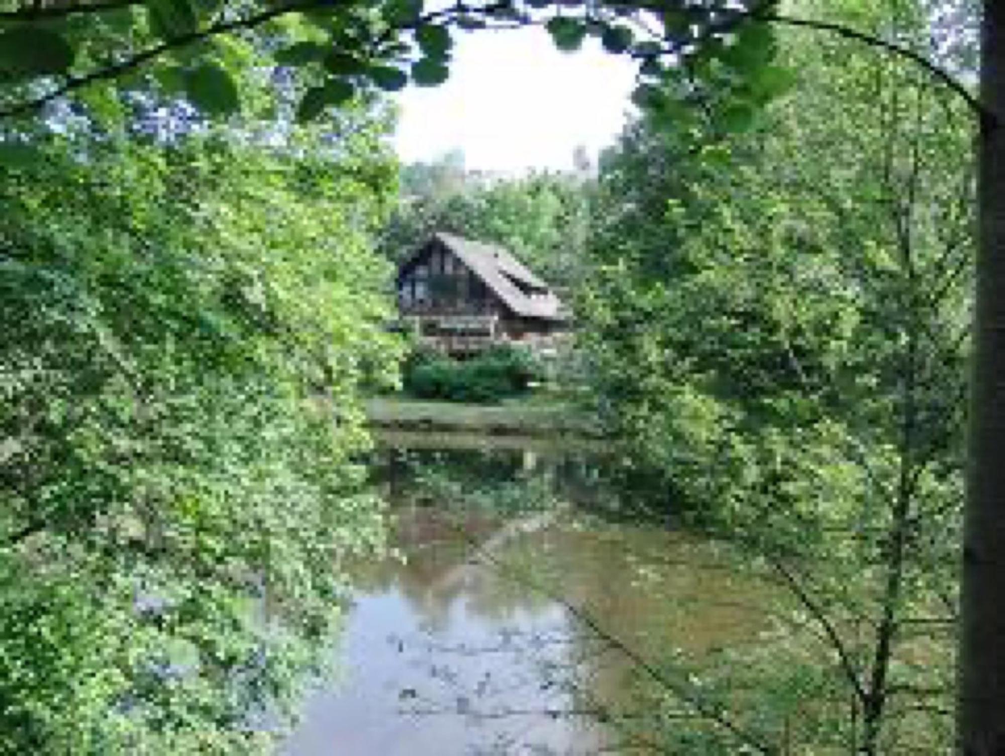 Ferienwohnungen Seeblick Unterkirnach ภายนอก รูปภาพ