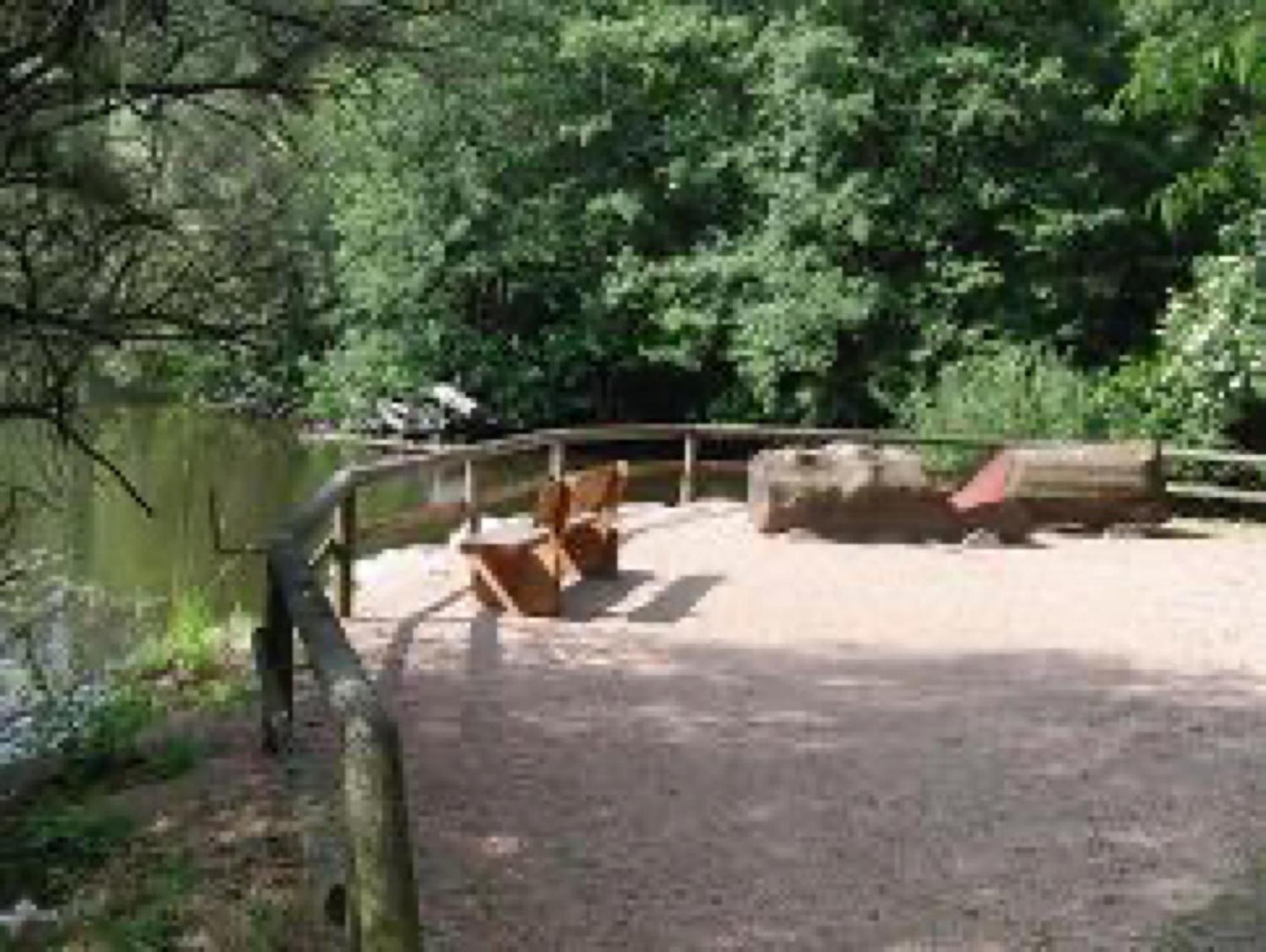 Ferienwohnungen Seeblick Unterkirnach ภายนอก รูปภาพ